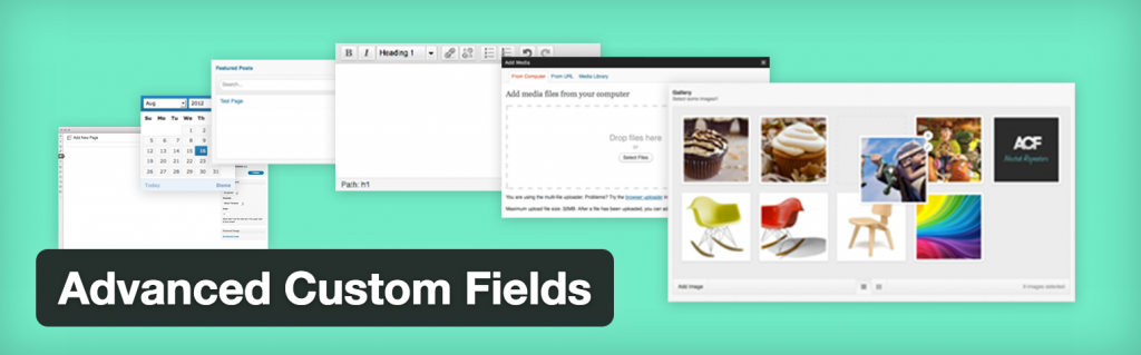 wordpress-must-have-plugin-advanced-custom-fileds