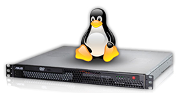 Linux Server Distributions; LEMP Stack Manuals; LAMP Stack Manuals