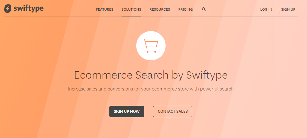 platforms, engines, tools and other solutions for ecommerce search 