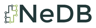 Node.js Database