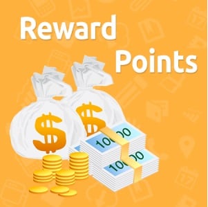 Reward Points Magento extension  Referral program Magento module