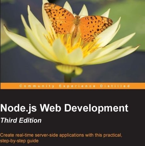 Top Node.js books