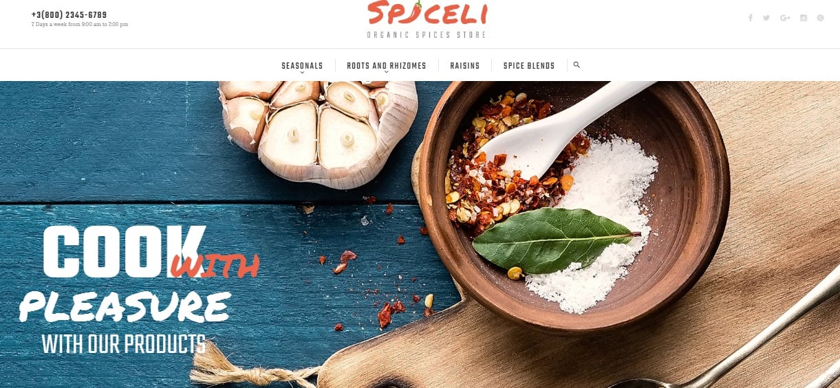 Spiceli Magento 2 Theme Review; Spiceli Magento 2 Template Overview