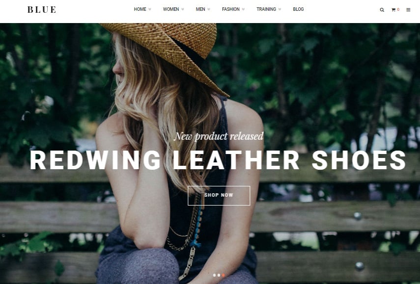 Ves Blue Store Magento 2 Theme Review, Ves Blue Store Magento 2 Template Overview