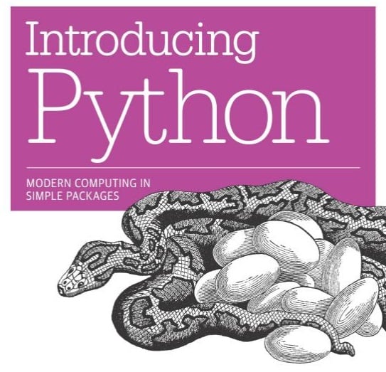 How To Code Like Real Pythonista Best Python Books