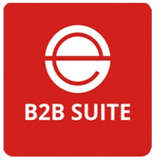 Ecomwise B2B Suite Magento 2 Extension Review; Ecomwise B2B Suite Magento 2 Module Overview