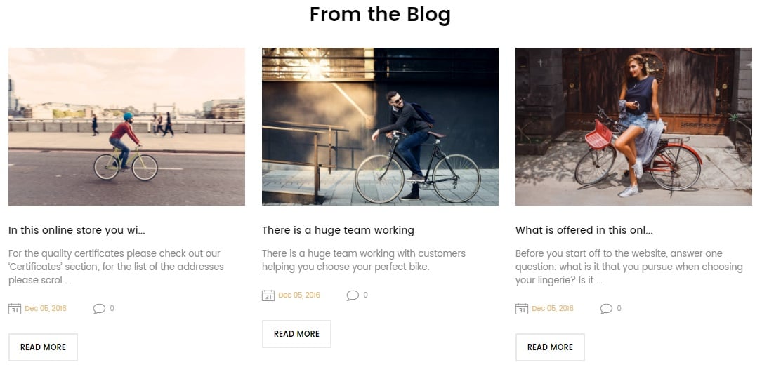 Bikes store Magento 2 Theme