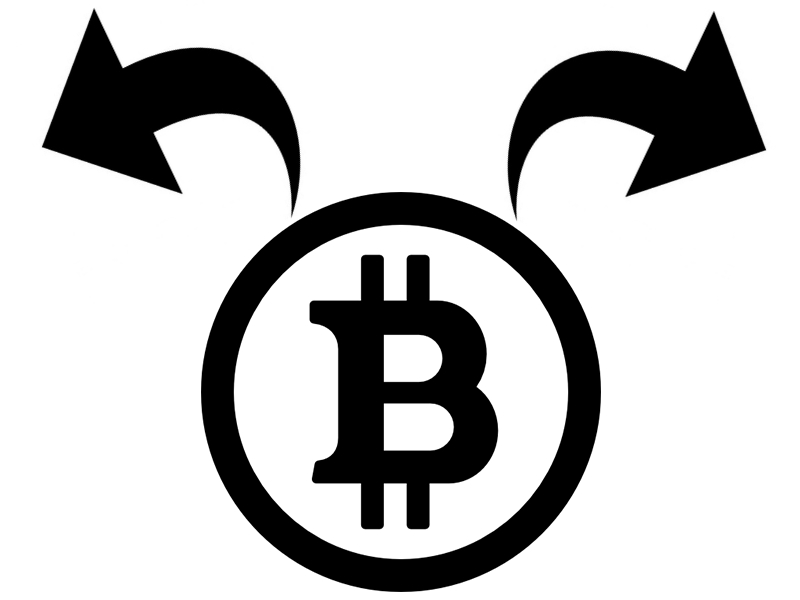 Bitcoin Cash; Bitcoin Fork