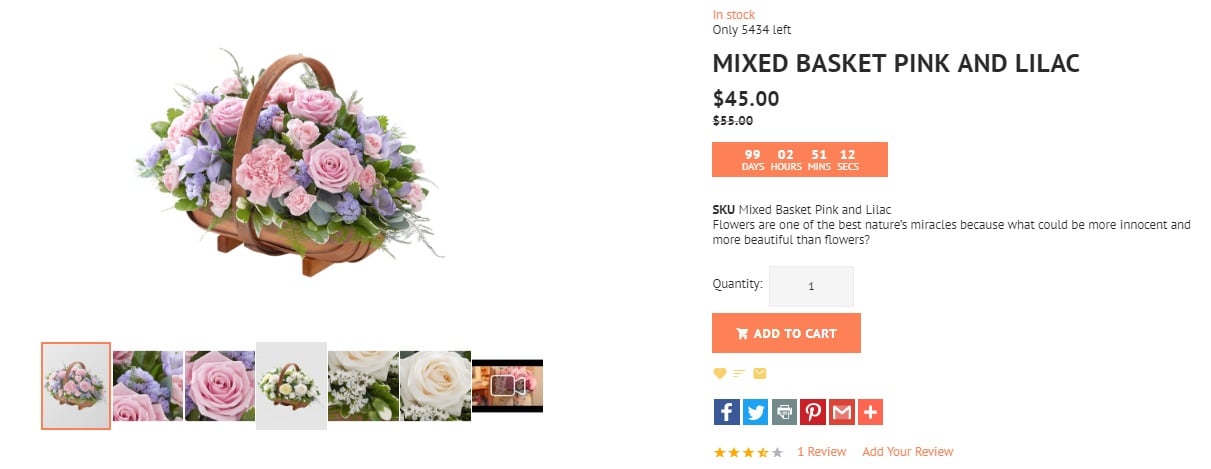 Magento 2 Flower Shop Theme