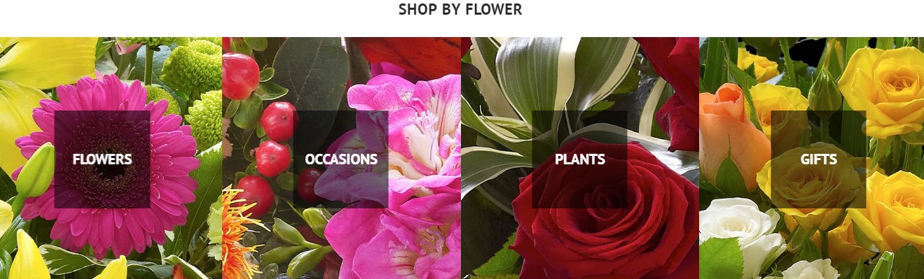Magento 2 Flower Shop Theme