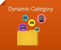 Magento 2 Dynamic Category Extension