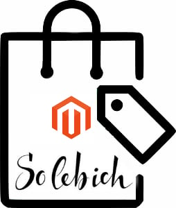 Magento 2 SoLebIch Connector