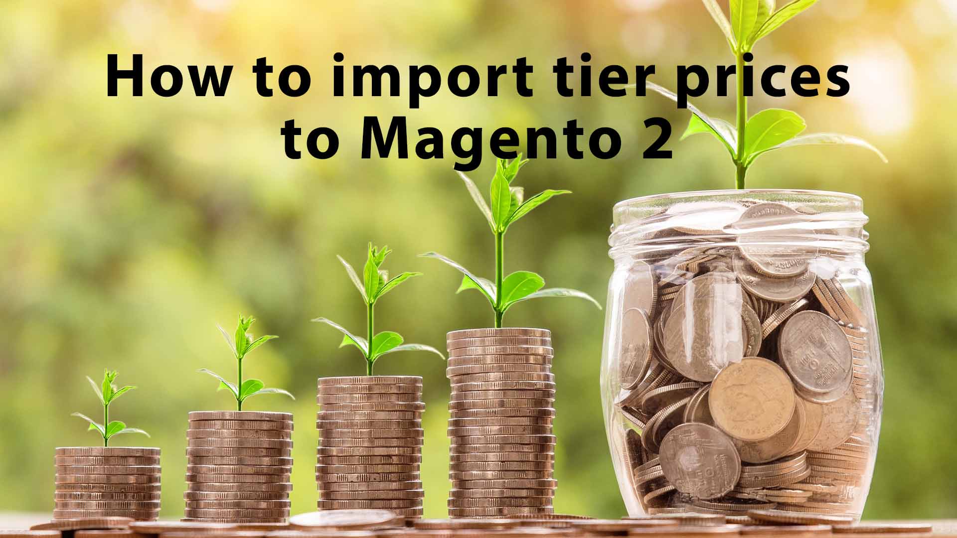 Magento 2 Advanced Pricing Import