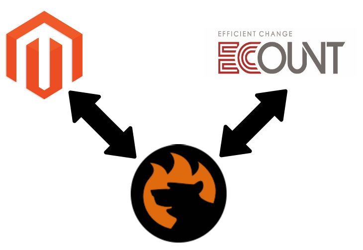 Magento 2 Ecount Connector