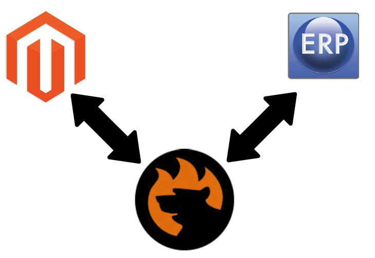 Magento 2 TrueERP connector