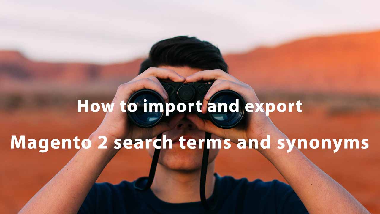 Magento 2 Search Terms & Search Synonyms