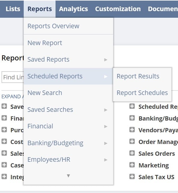 Magento 2 netsuite erp reports