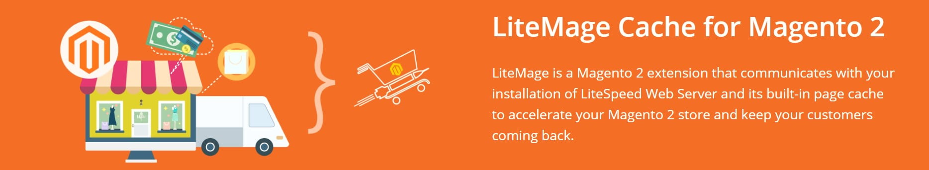 Magento 2 LiteMage Cache extension