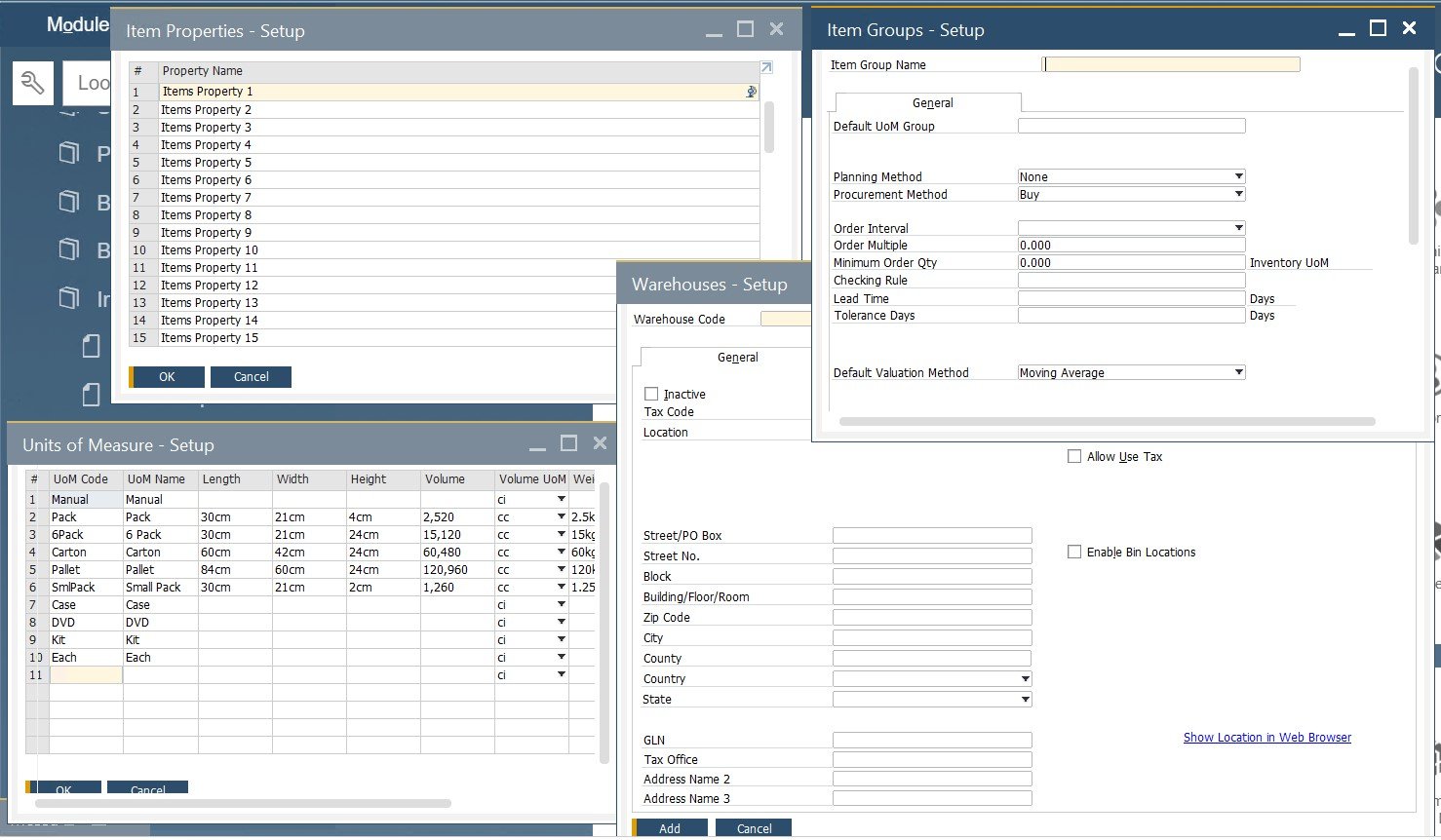 sap b1 business partner master data