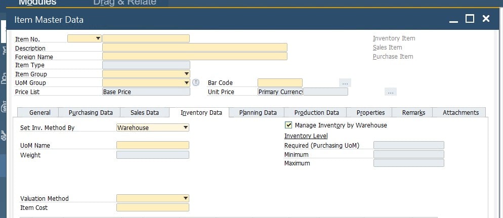 sap b1 business partner master data