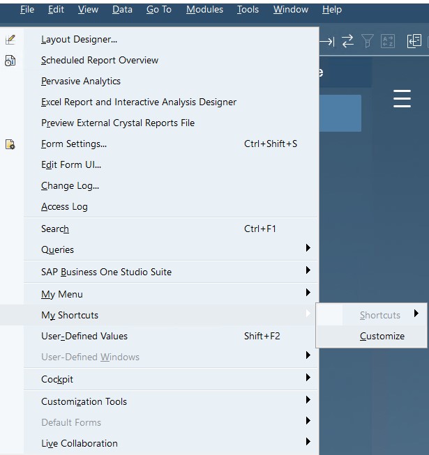 sap business one interface, navigation, customization