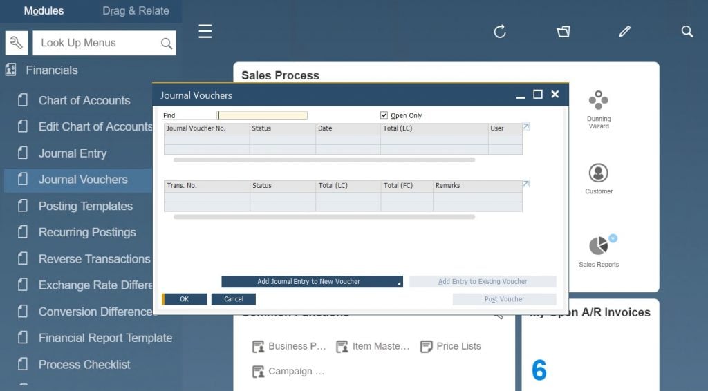 SAP Business One InDepth Review Financial Accounting FireBear