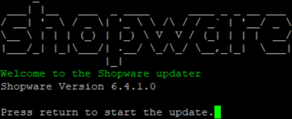 How To Update Shopware 6 via shell