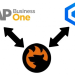 SAP Business One Integration with Shopping Cart Elite