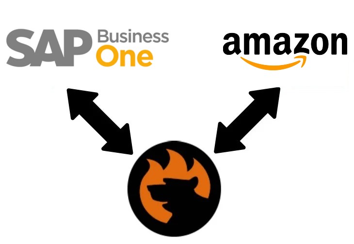 amazon seller central sap business one integration