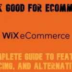 Wix Ecommerce Review 2025: Is Wix Good for Ecommerce