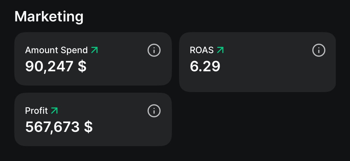 Marketing overview in StatHubs dashboard showing total ad spend, ROAS, and profit data